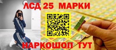 прущие грибы Вязьма
