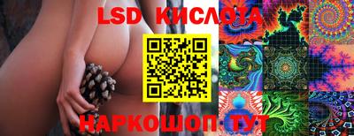 ПСИЛОЦИБИНОВЫЕ ГРИБЫ Вязники