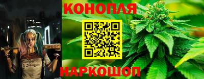 ПСИЛОЦИБИНОВЫЕ ГРИБЫ Вязники