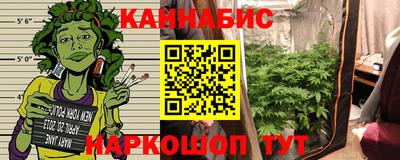 прущие грибы Вязьма