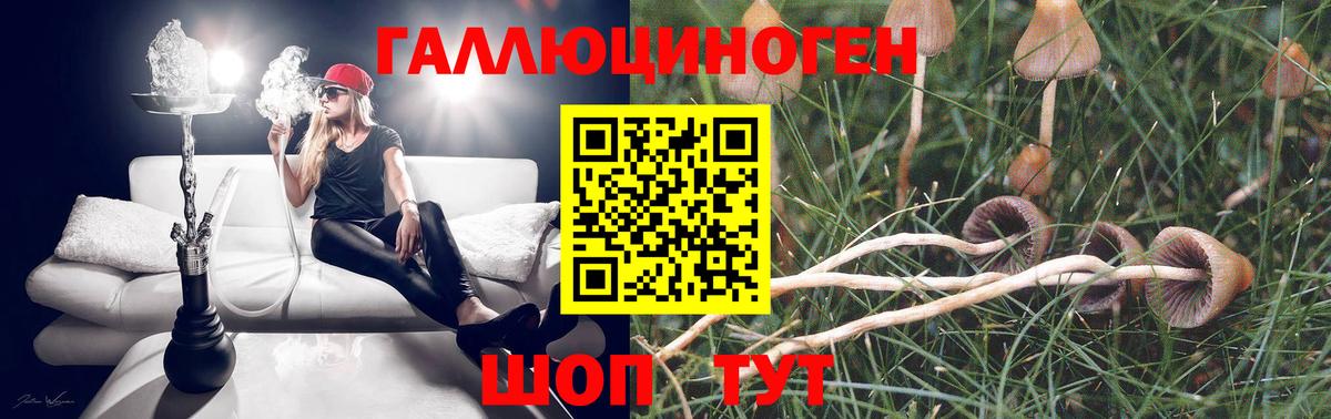 Псилоцибиновые грибы Psilocybine cubensis Борзя